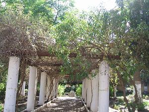 OCTOBRE 2007 AIN TEMOUCHENT JARDIN PUBLIC 042